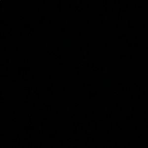 Meet your Posher, Carter